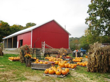 Orchard Hill Cider Mill
