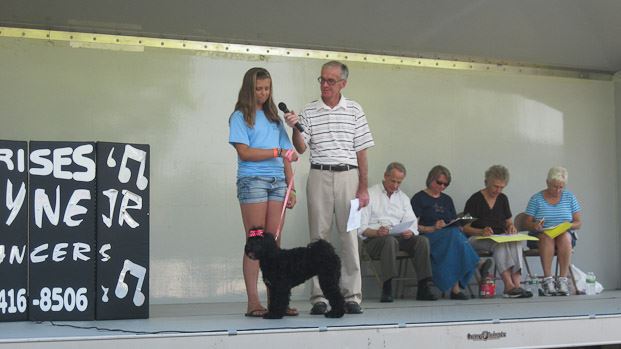 Dog and Owner on Stage (2)