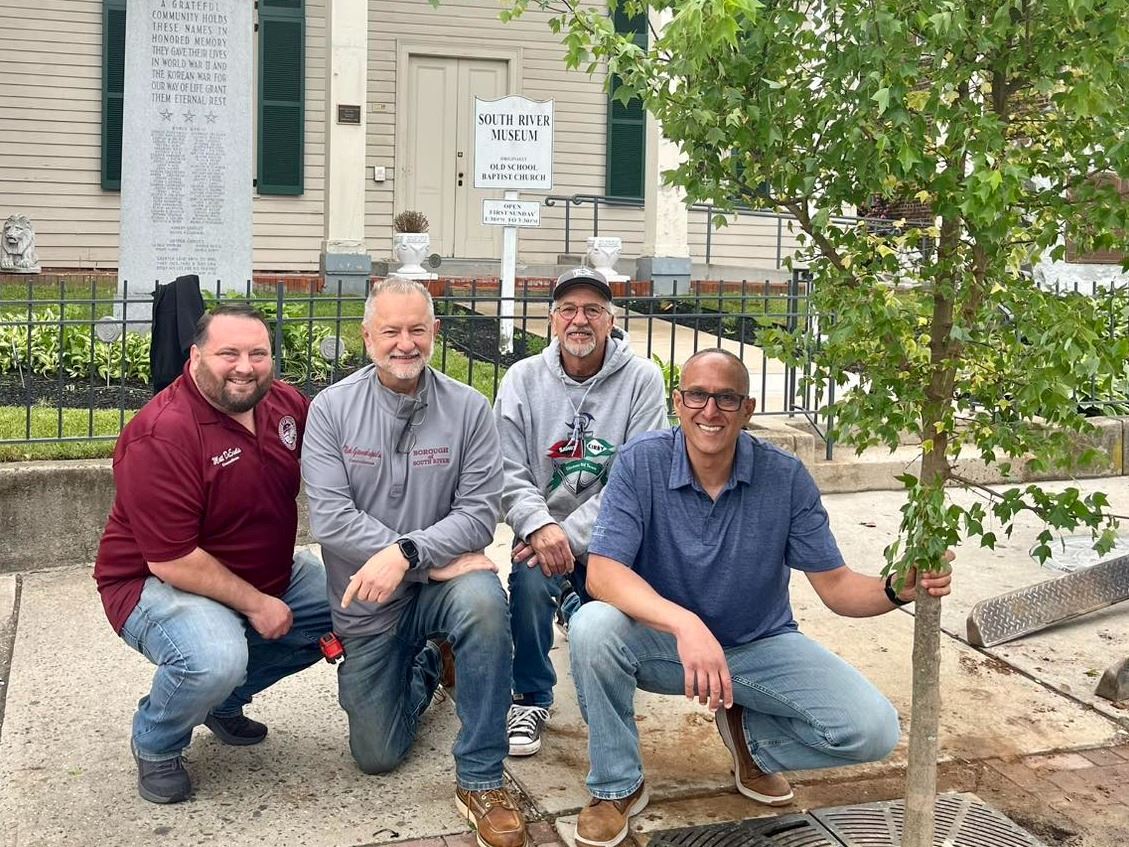 Main Street Trees